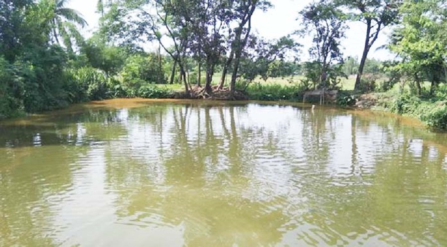 তাড়াশের নাদোসৈয়দপুরে পুকুরে গ্যাস ট্যাবলেট নিক্ষেপ